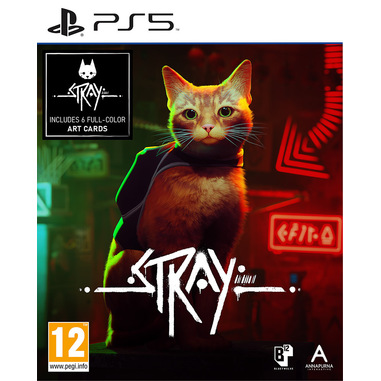 Stray, PlayStation 5