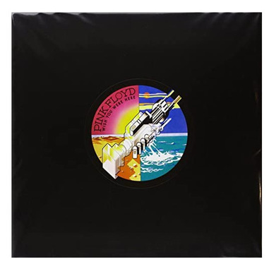 Warner Music Wish You Were Here(Remastered) Vinile Rock progressivo Pink Floyd