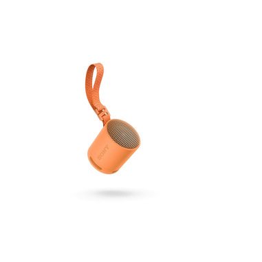 Speaker Bluetooth Sony SRS-XB100 - Portatile, Impermeabile IP67, Cinturino, Vivavoce, Compatto Per Viaggi - Foto 3