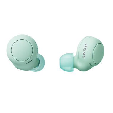 Sony Auricolari WF-C500 True Wireless - Fino a 20 ore di durata della batteria con custodia di ricarica - Compatibile con l'Assistente Vocale - Microfono integrato per le telefonate - Connessione Bluetooth affidabile - Verde