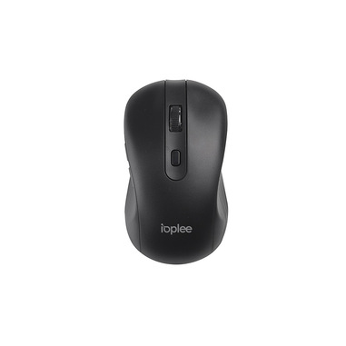 IOPLEE IOPEXTSMOUSE408G mouse Universale Ambidestro RF Wireless 1600 DPI