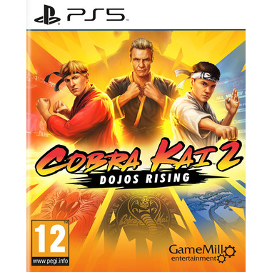 Cobra Kai 2: Dojos Rising, PlayStation 5
