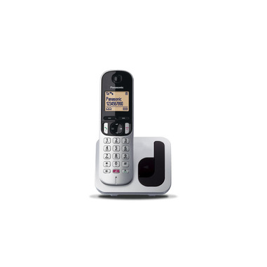 Panasonic KX-TGC260JTS telefono Telefono DECT Identificatore di chiamata Nero, Argento