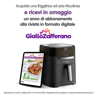 Moulinex Easy Fry recensione