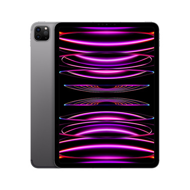 Apple iPad 11 Pro Wi-Fi + Cellular 1TB - Grigio Siderale