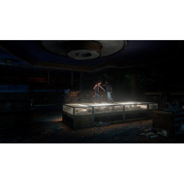 The Last of Us Parte II, PS4  Giochi Playstation 4 in offerta su Unieuro