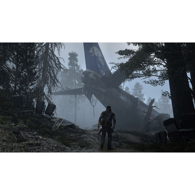 Sony PS4 Days Gone