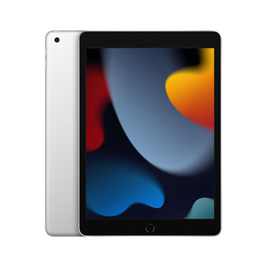 Apple iPad , 10.2" LED, 2160 x 1620, A13 Bionic, 256GB, 802.11ac Wi-Fi 5, Bluetooth 4.2, Touch ID, 8MP + 12MP, iPadOS