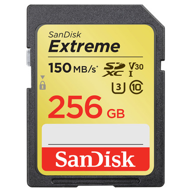 SanDisk Exrteme 256 GB SDXC UHS-I Classe 10